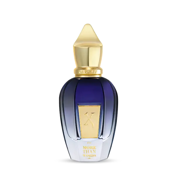 Xerjoff More than Words EDP Unisex Spray 3.4 oz (100ml)